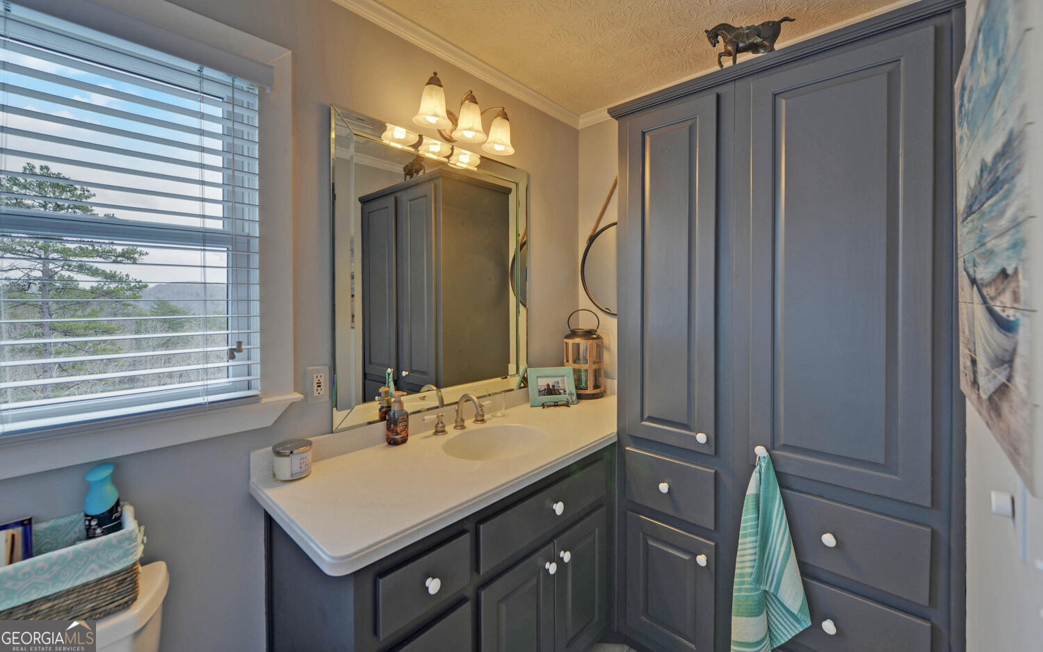 397 Early Drive Dahlonega GA 30533
