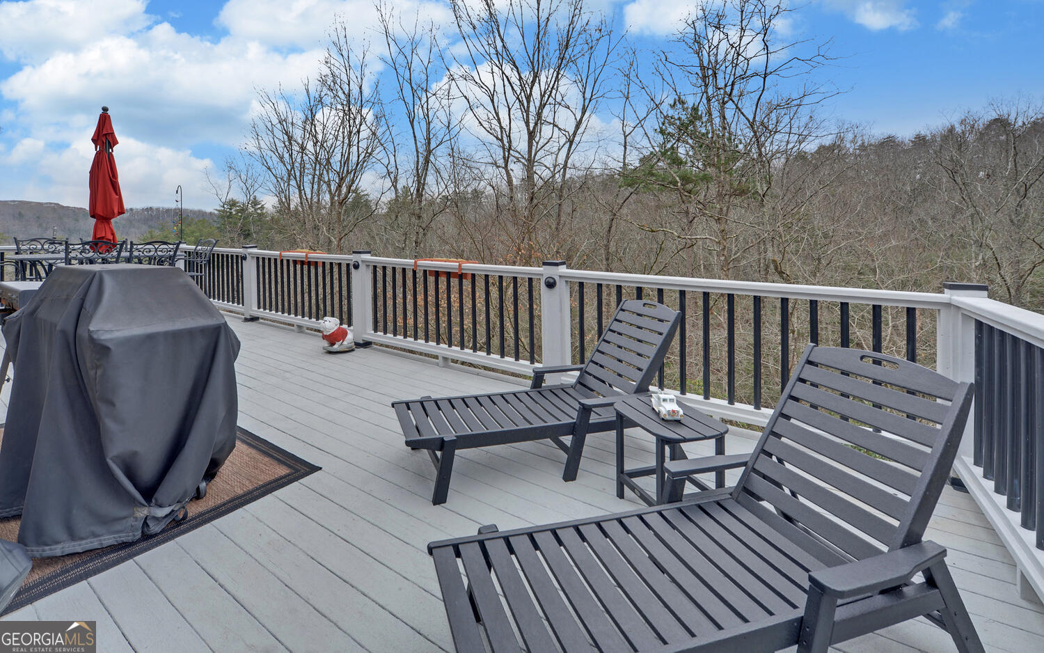 397 Early Drive Dahlonega GA 30533