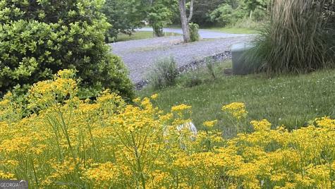 82 Jay Bird Way Hayesville NC 28904