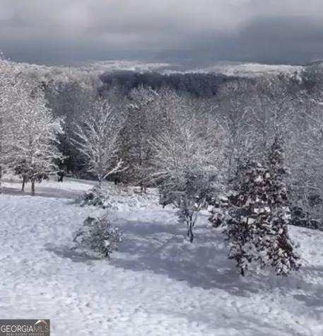 82 Jay Bird Way Hayesville NC 28904
