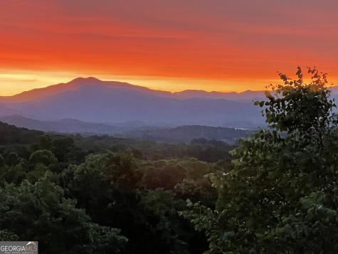 82 Jay Bird Way Hayesville NC 28904