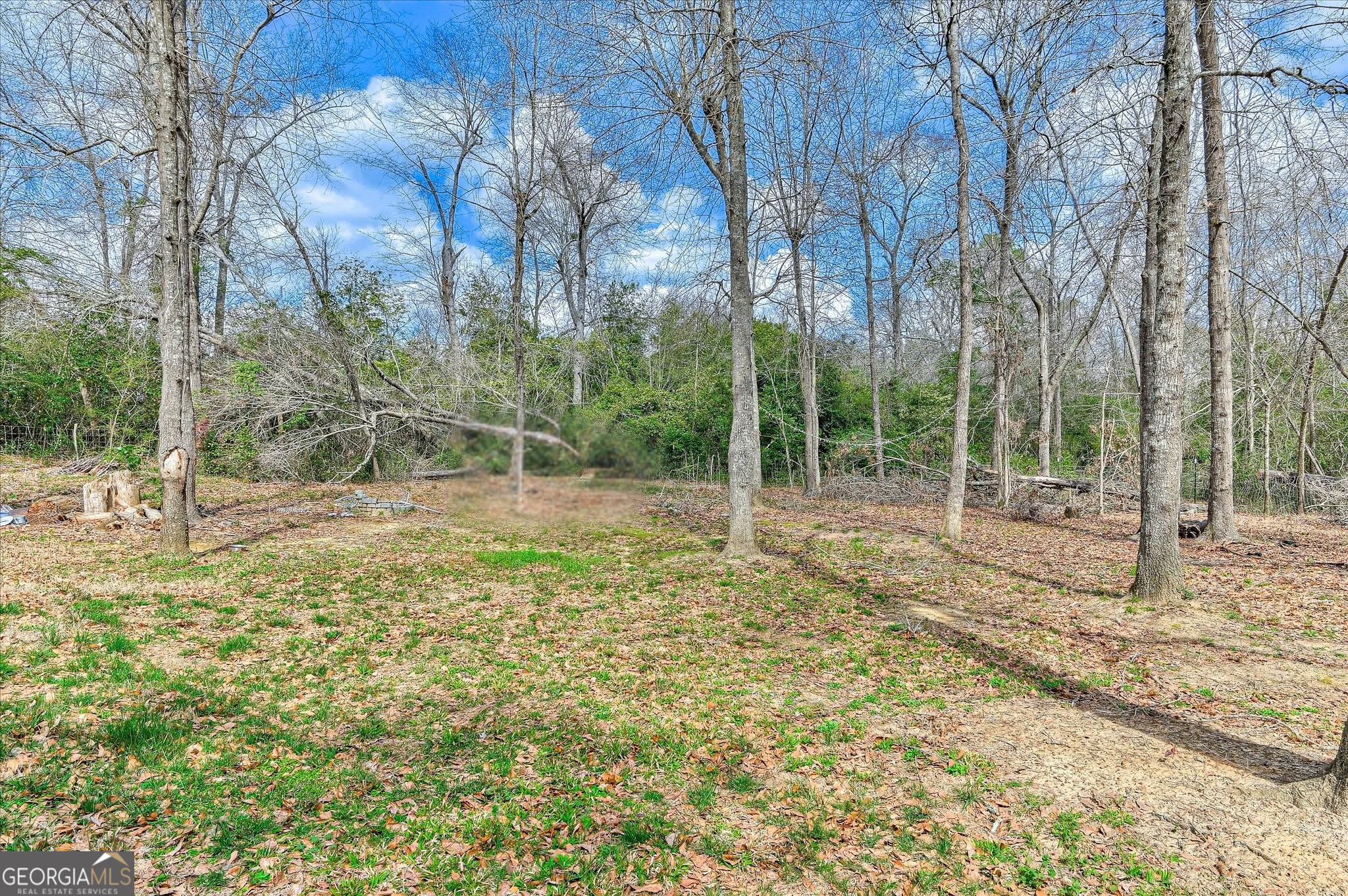 345 Church Street Blythe GA 30805
