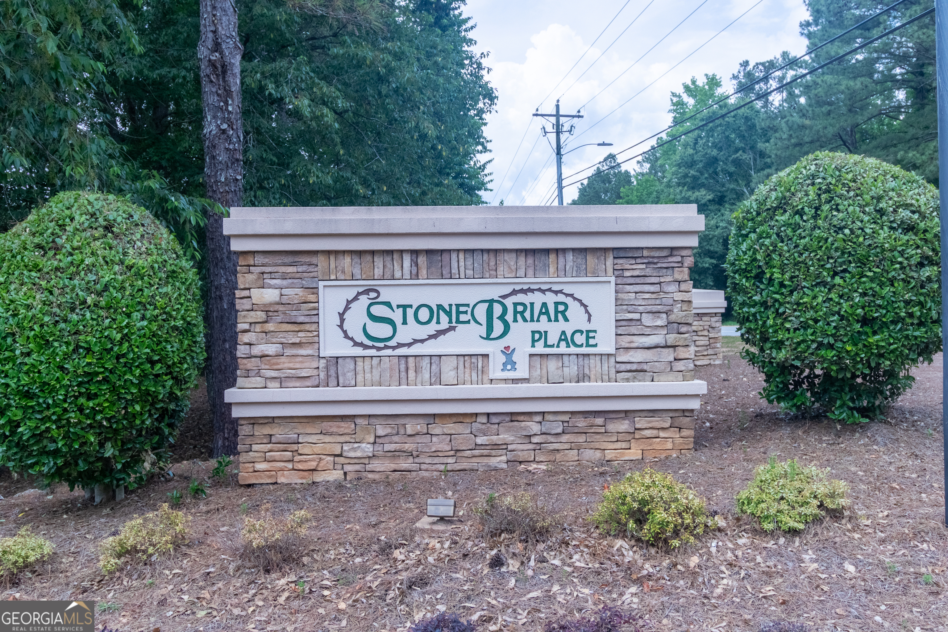 270 Briarsweet Way Fayetteville GA 30215