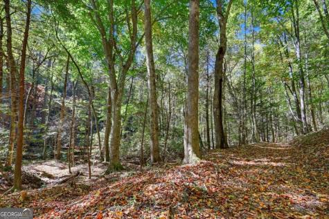 30 Highland Ridge East Blairsville GA 30512