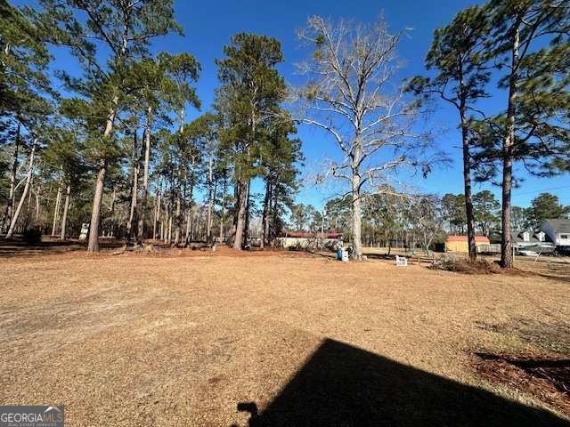 1065 Farmdale Road Sylvania GA 30467