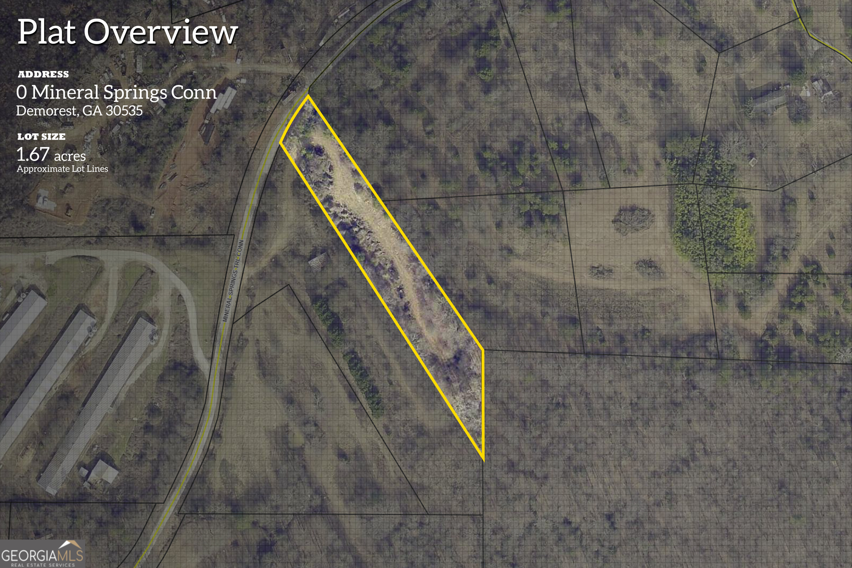 226 Mineral Springs Conn Demorest GA 30535