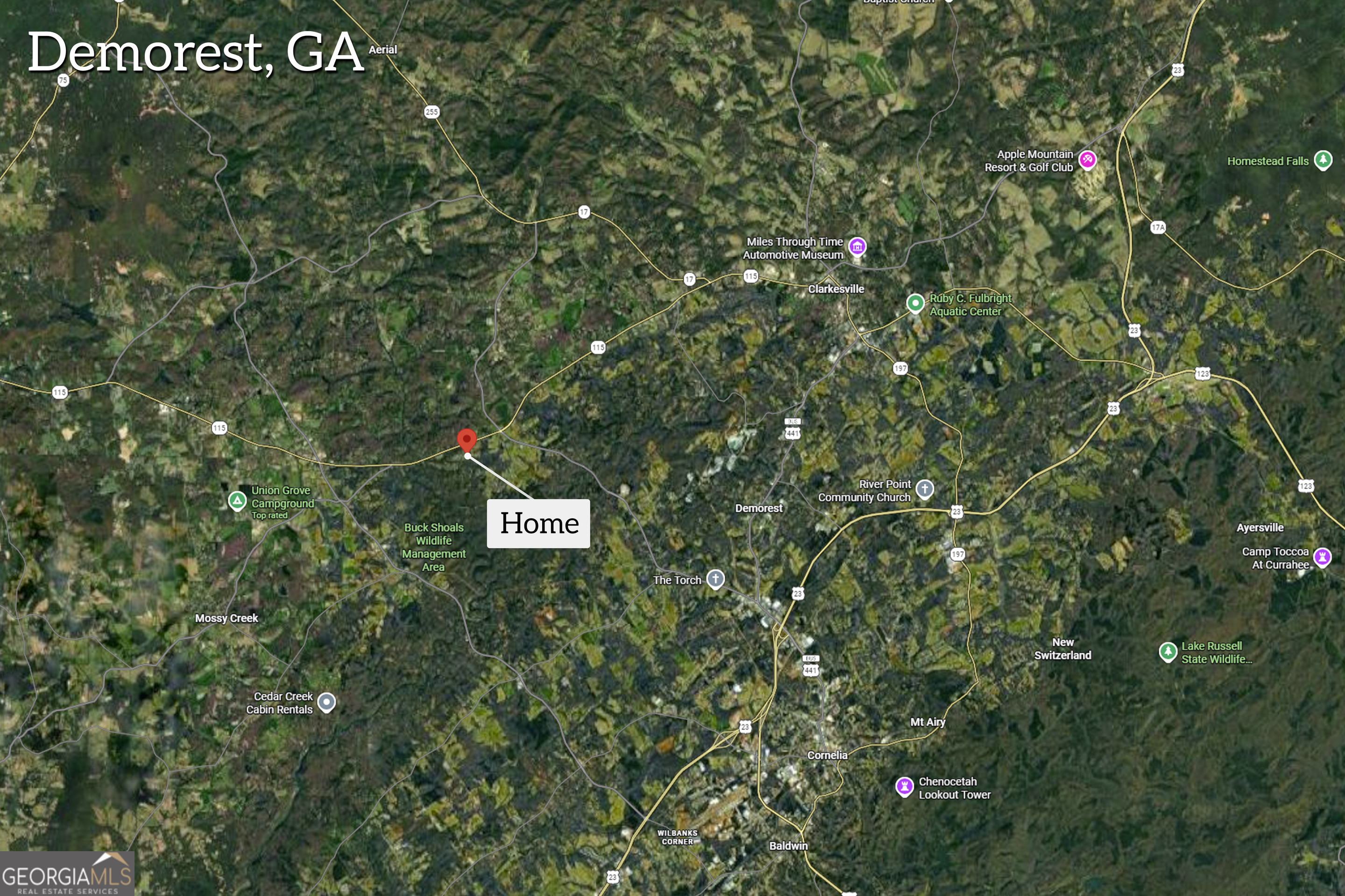 226 Mineral Springs Conn Demorest GA 30535