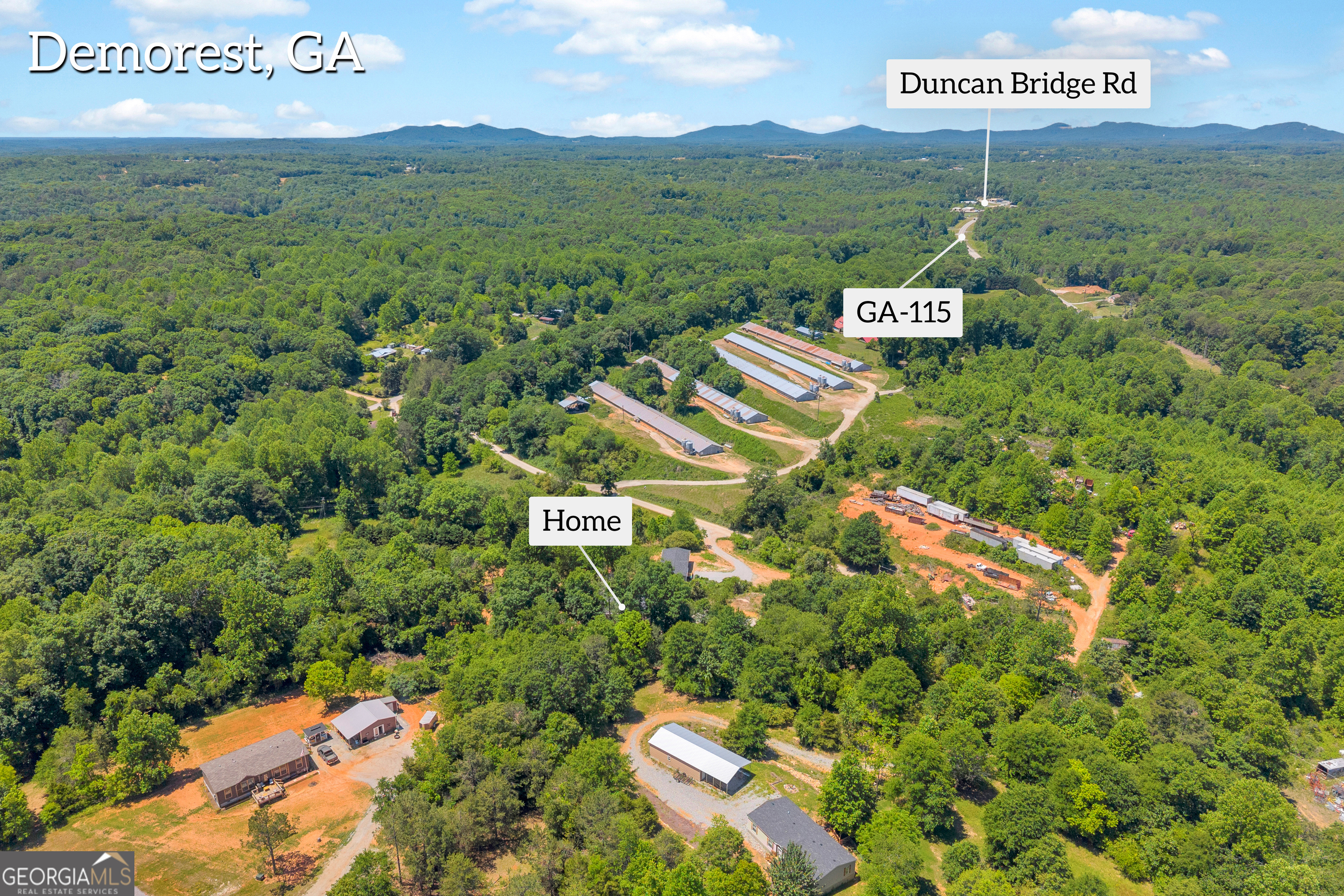 226 Mineral Springs Conn Demorest GA 30535