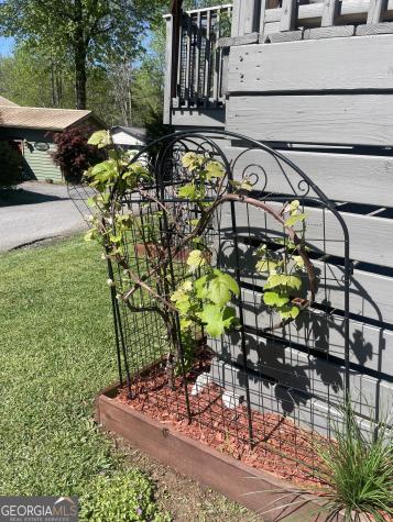 8 Cindy Parkway Cleveland GA 30528