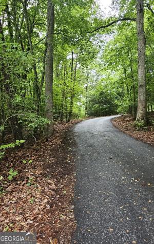 3857 Gumlog Road Young Harris GA 30582