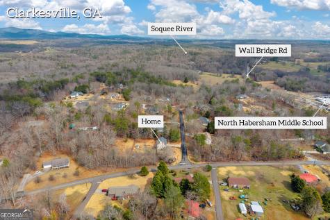 115 Settlers Point Drive Clarkesville GA 30523
