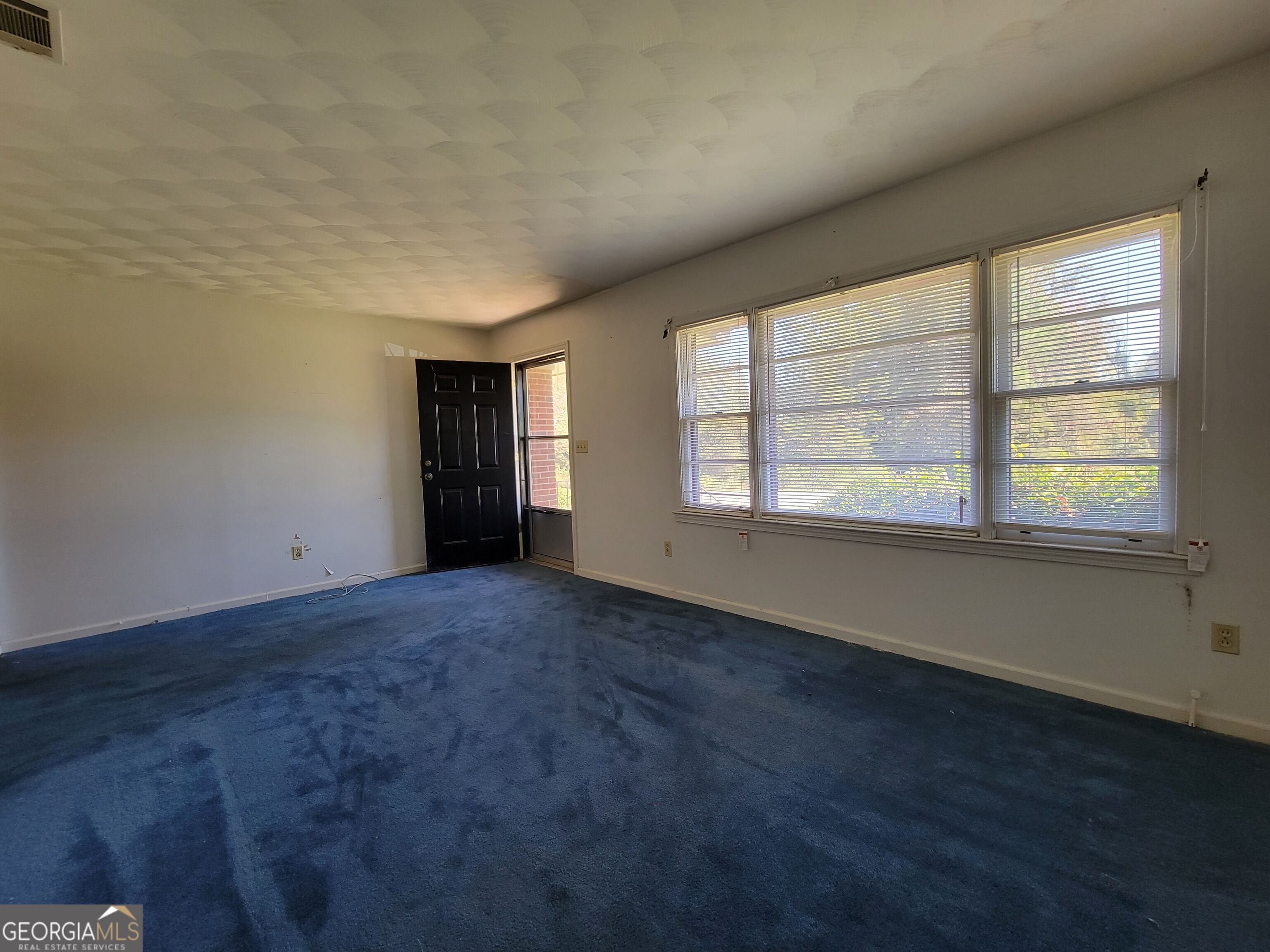 191 Alice Street Midville GA 30441