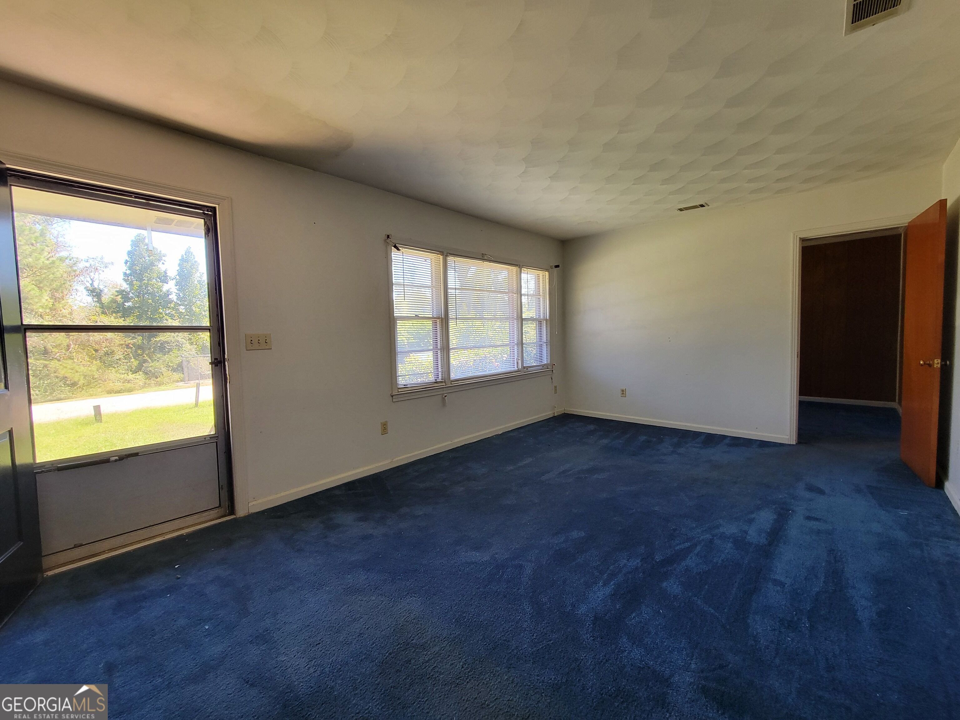 191 Alice Street Midville GA 30441