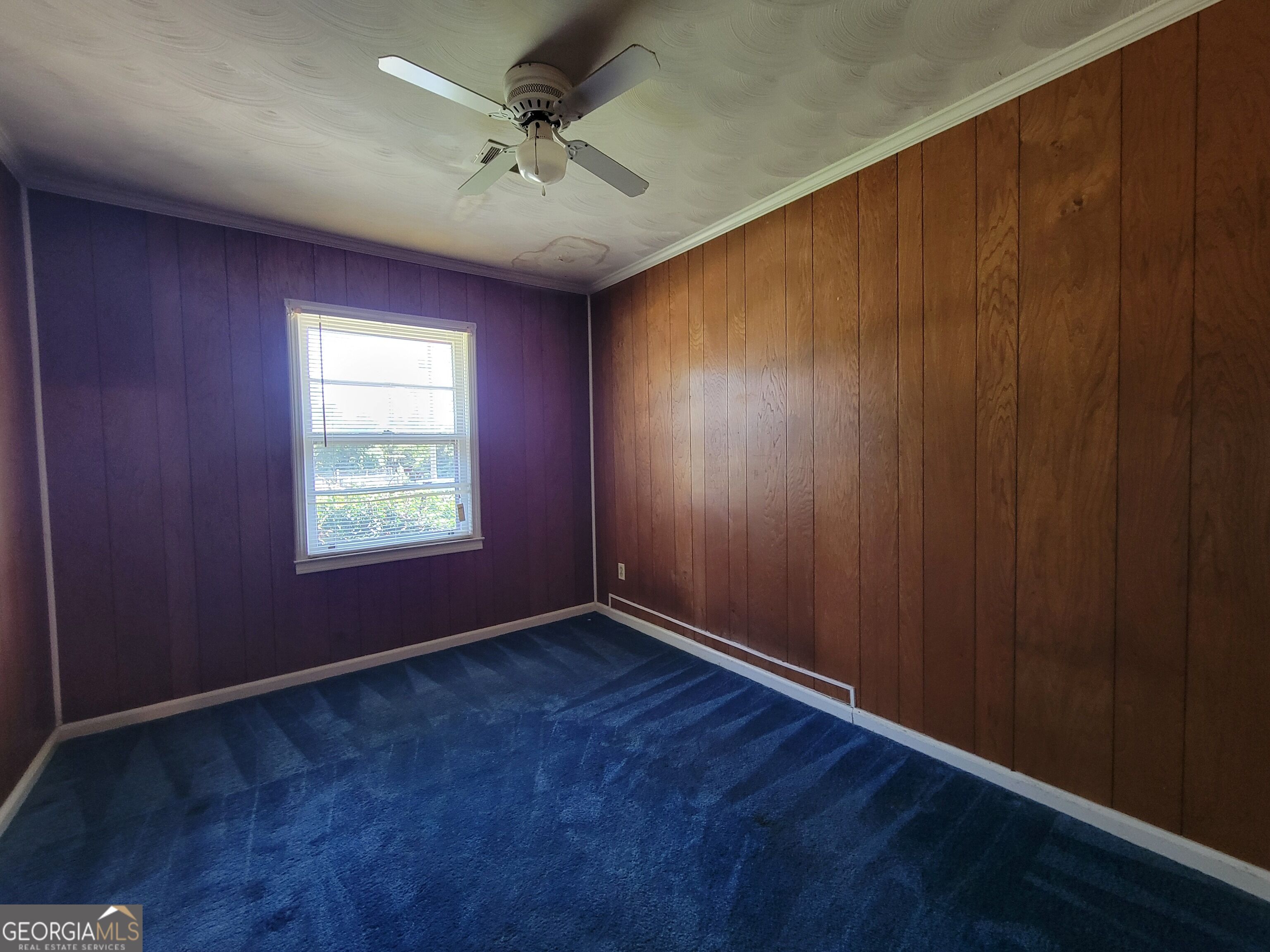 191 Alice Street Midville GA 30441