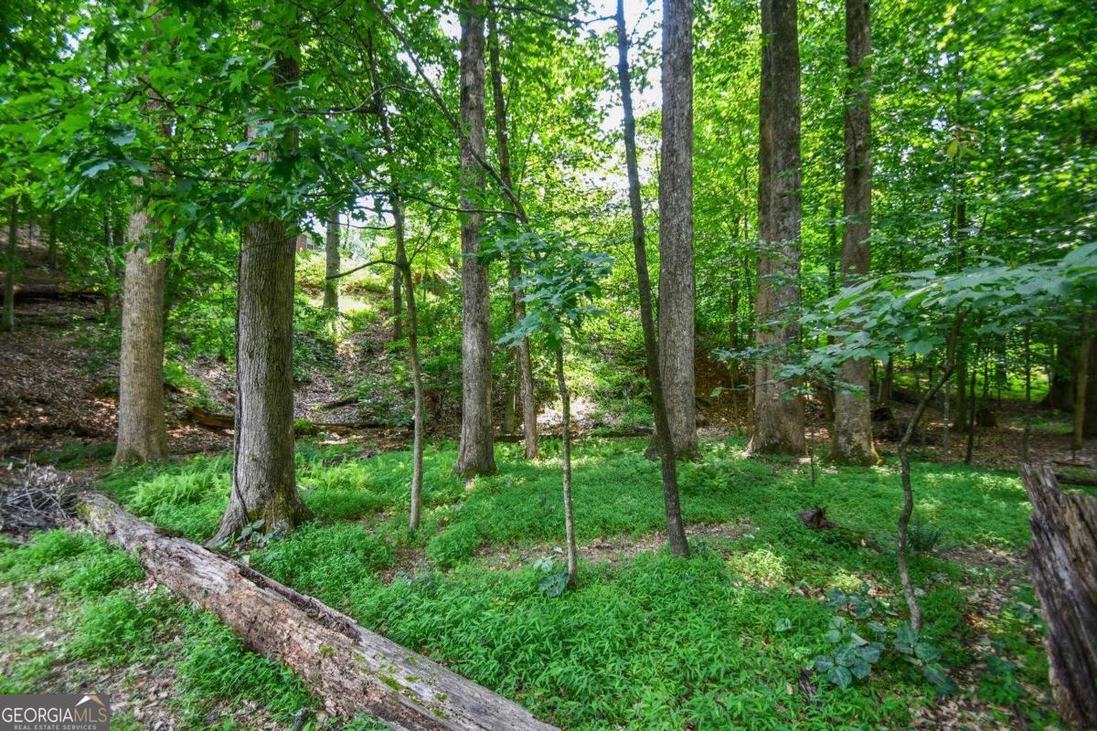 1173 Saint Charles Place Gainesville GA 30501