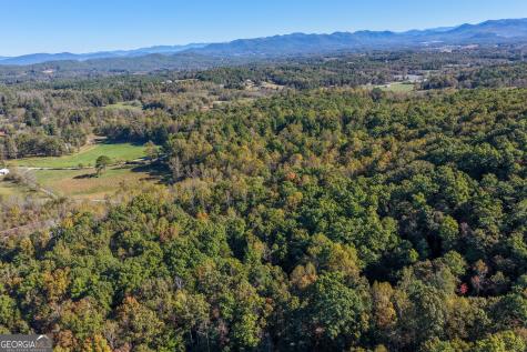 80 Treetop Lane Blairsville GA 30512