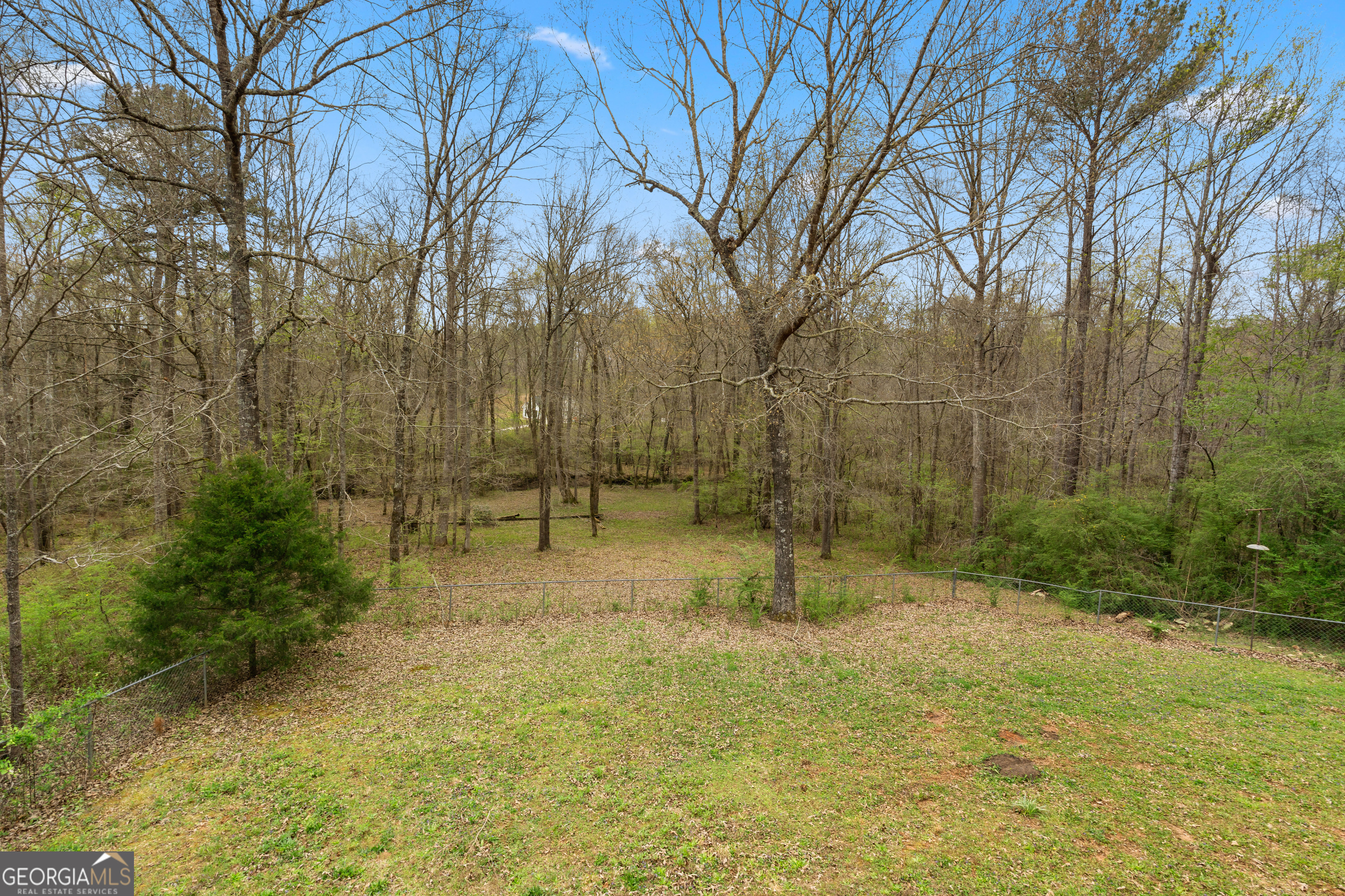 1229 Boggus Road Franklin GA 30217