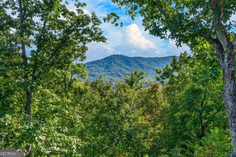 559 Overlook Trail Blue Ridge GA 30513
