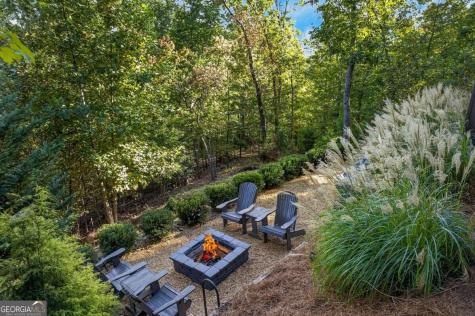559 Overlook Trail Blue Ridge GA 30513