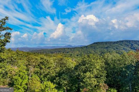559 Overlook Trail Blue Ridge GA 30513