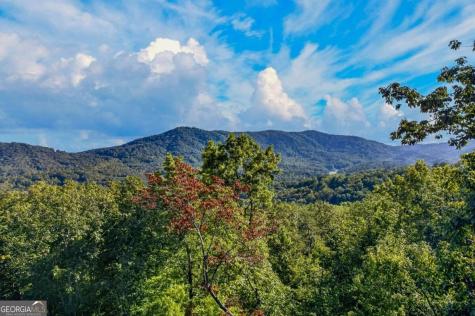 559 Overlook Trail Blue Ridge GA 30513