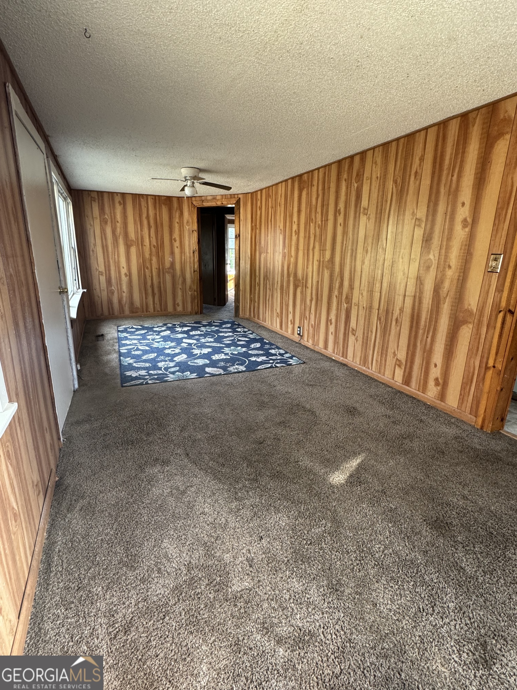 363 W Brazell Street Reidsville GA 30453