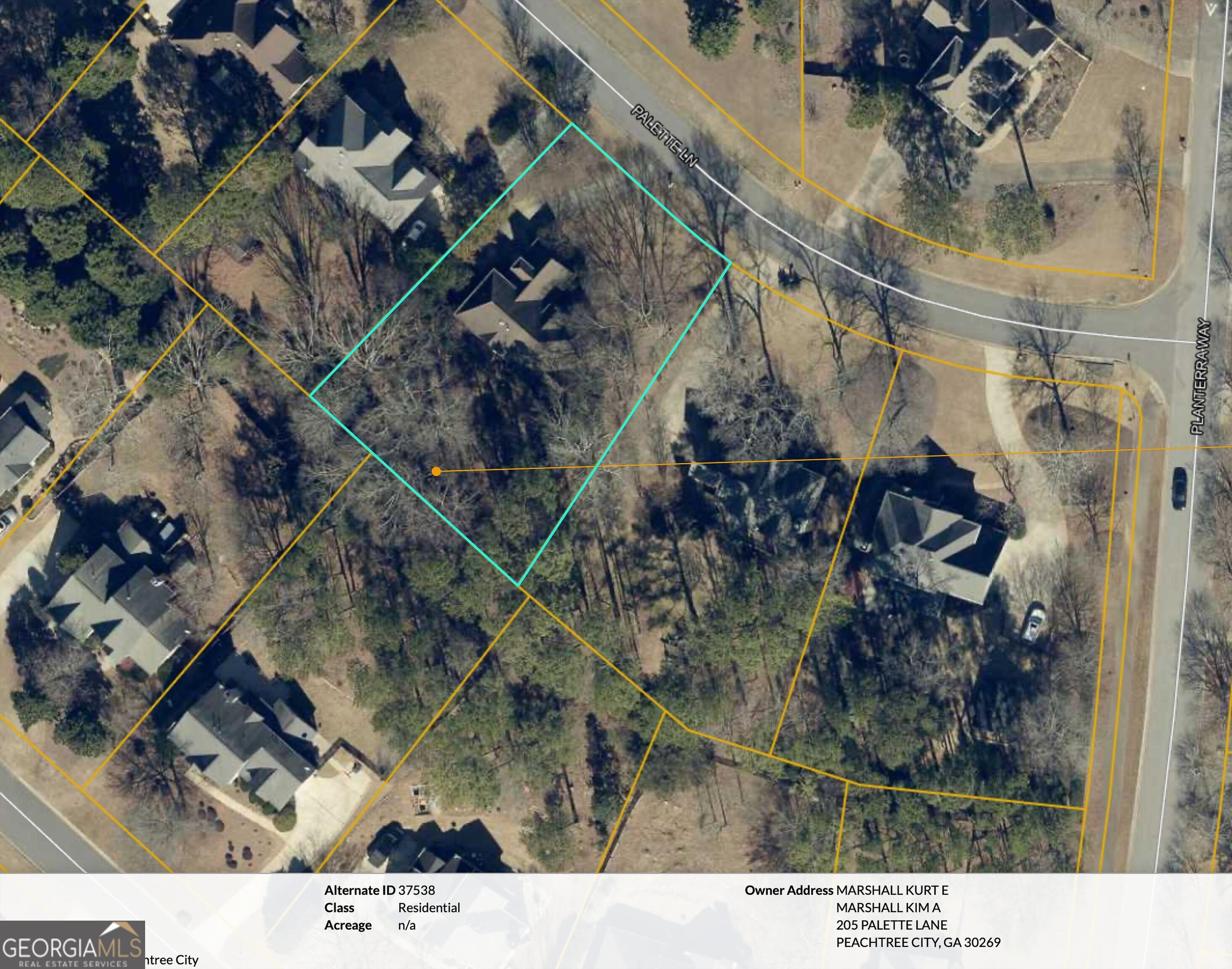 205 Palette Lane Peachtree City GA 30269