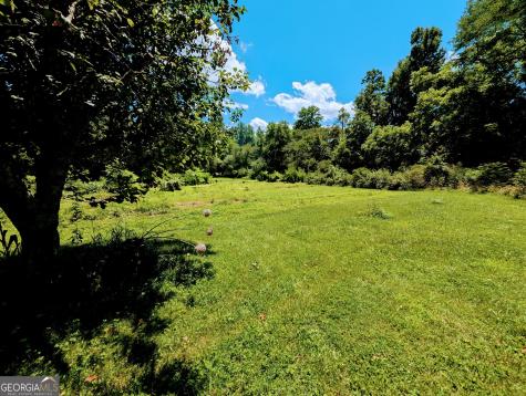 169 E Vineyard Road Hayesville NC 28904