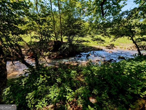 169 E Vineyard Road Hayesville NC 28904