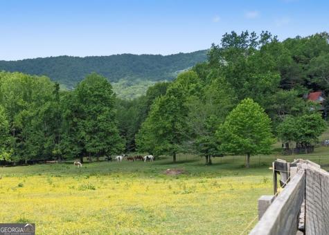 91 Magnificent Way Cleveland GA 30528