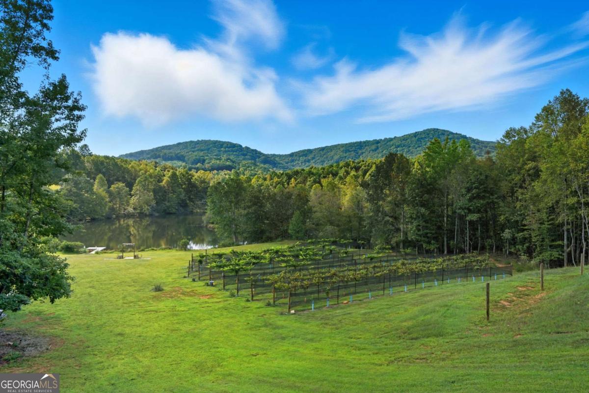 199 Tabitha Drive Jasper GA 30143