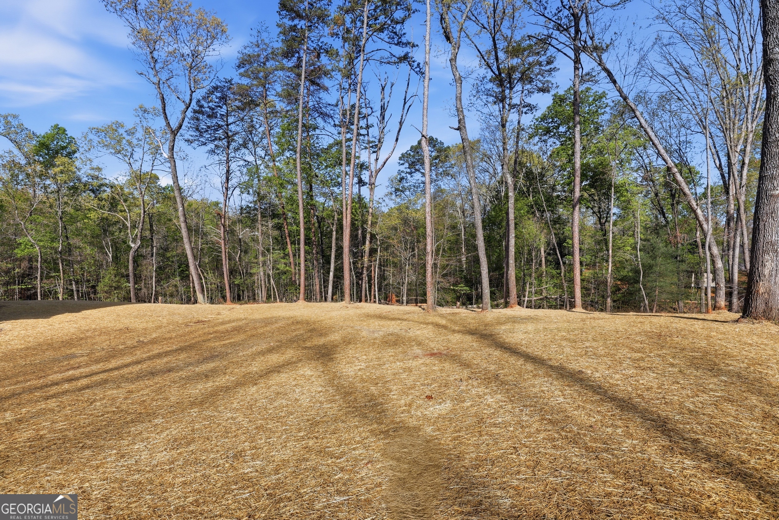 204 Edwards Road Clarkesville GA 30523