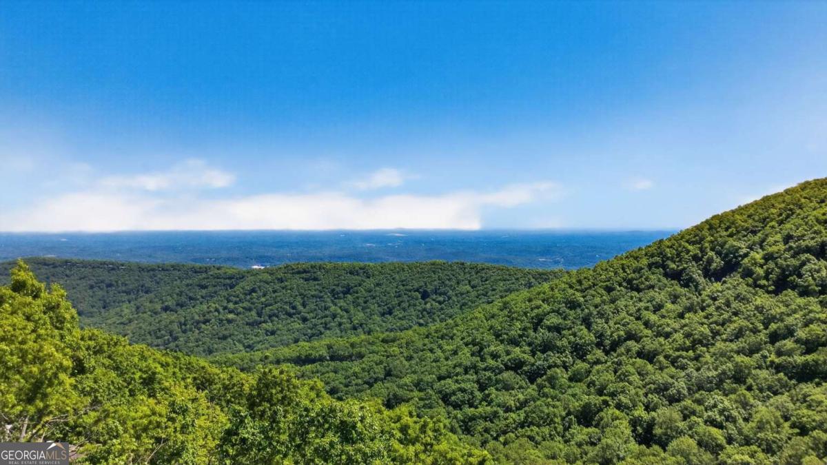 1091 Deer Run Ridge Jasper GA 30143