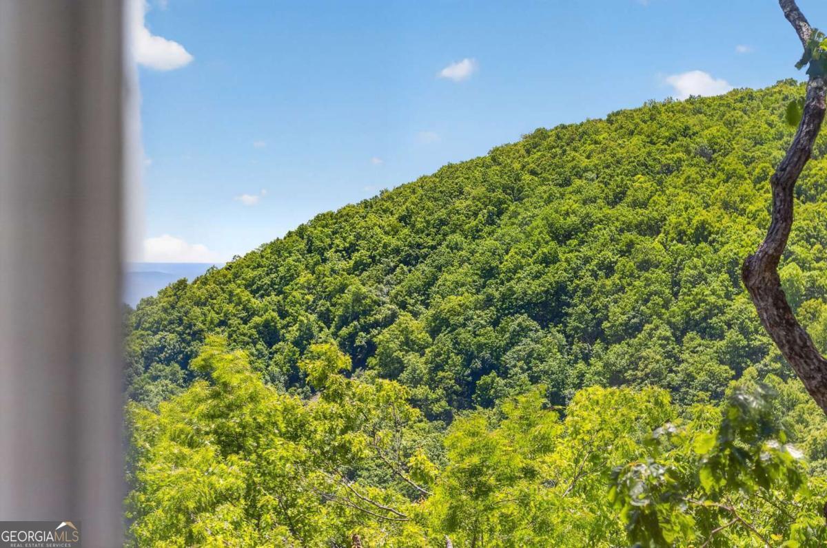 1091 Deer Run Ridge Jasper GA 30143