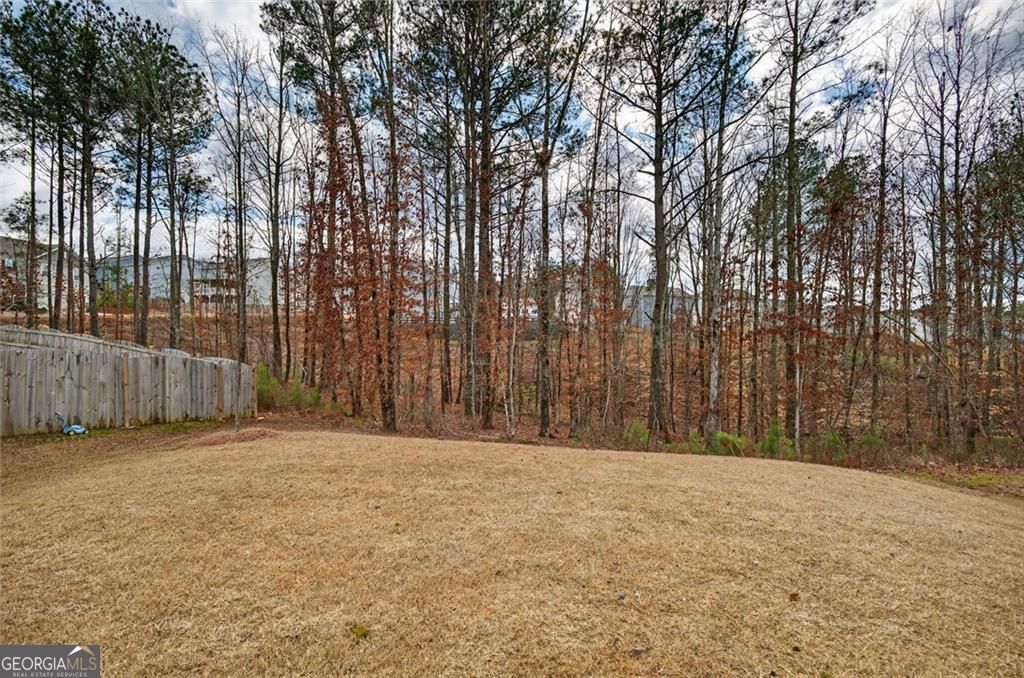 29 White Cedar Drive Dawsonville GA 30534