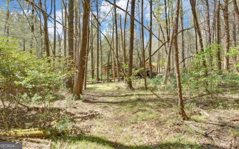 380 Bear Foot Drive Blue Ridge GA 30513