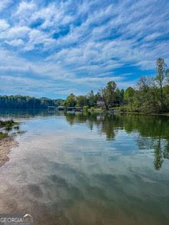 44 Chalet Lane Hiawassee GA 30546