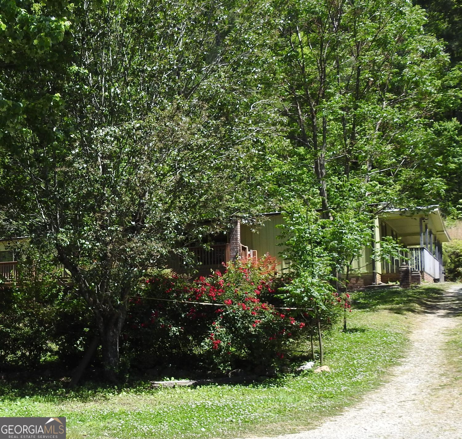 9503 Tails Creek Road Ellijay GA 30540