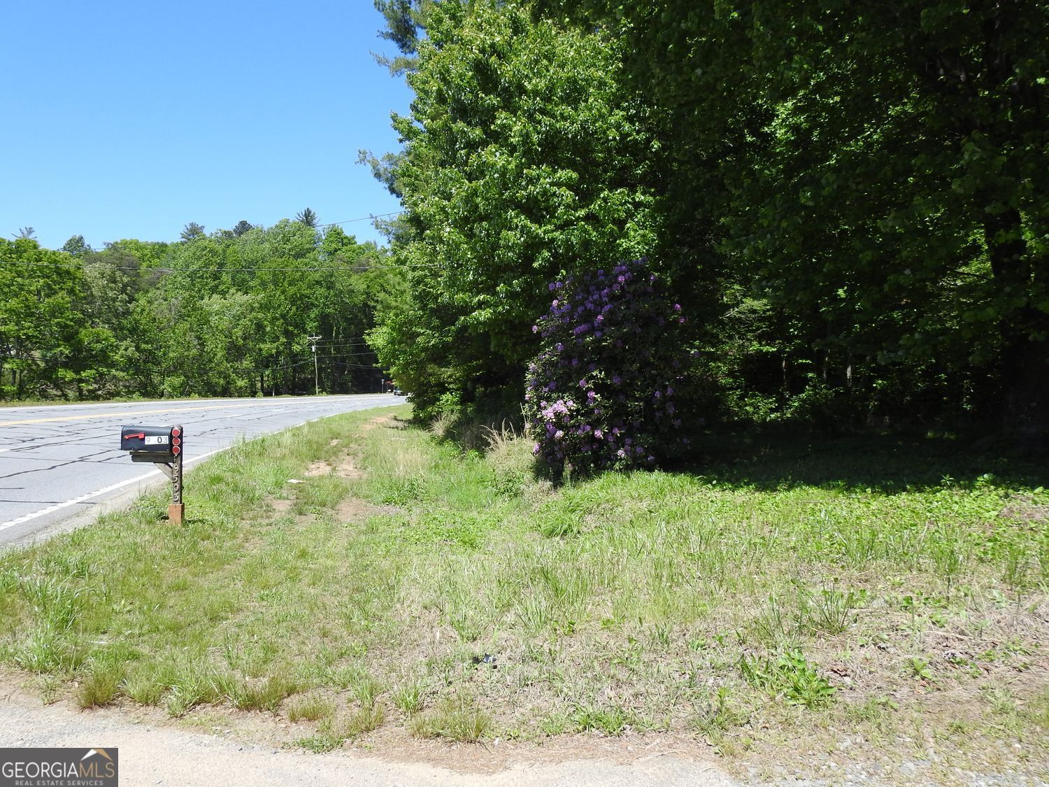9503 Tails Creek Road Ellijay GA 30540