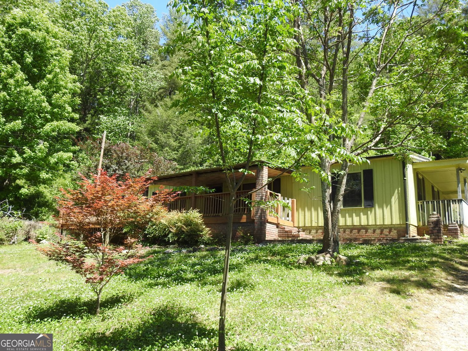 9503 Tails Creek Road Ellijay GA 30540