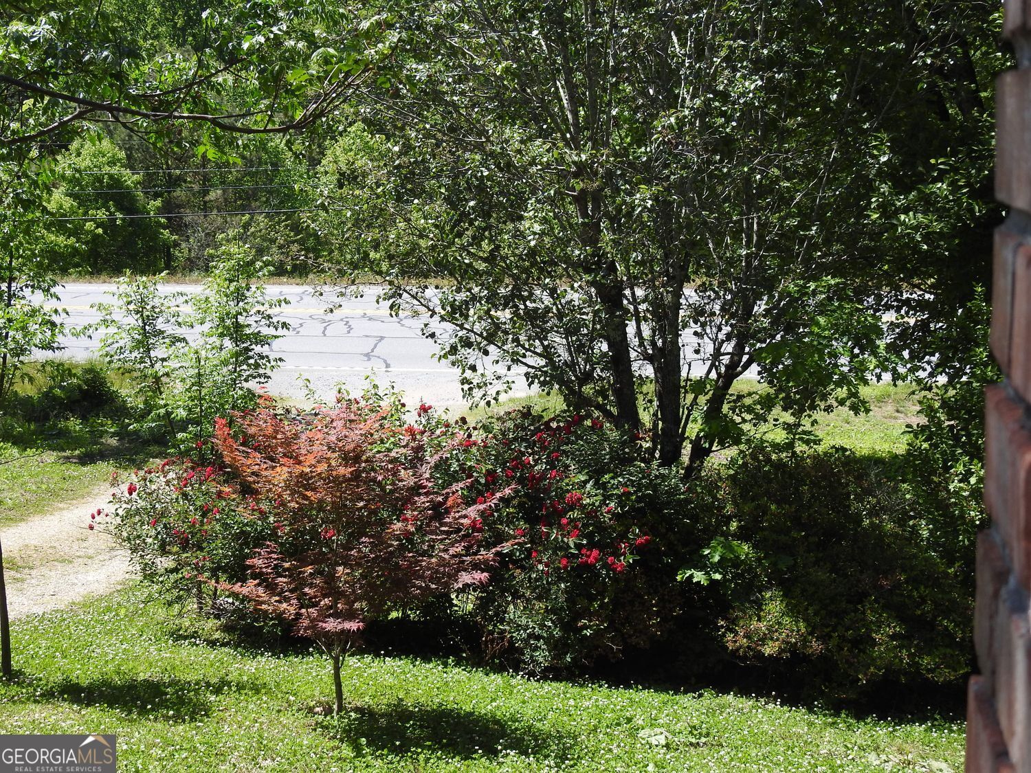 9503 Tails Creek Road Ellijay GA 30540