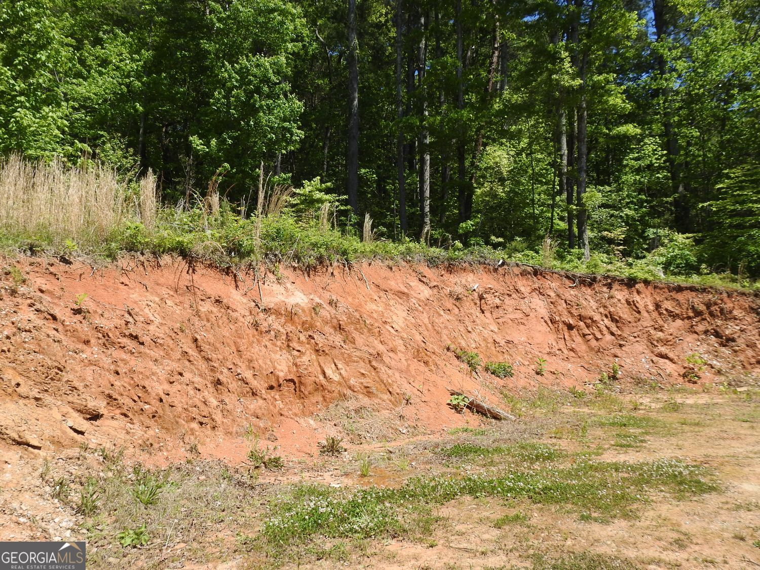9503 Tails Creek Road Ellijay GA 30540