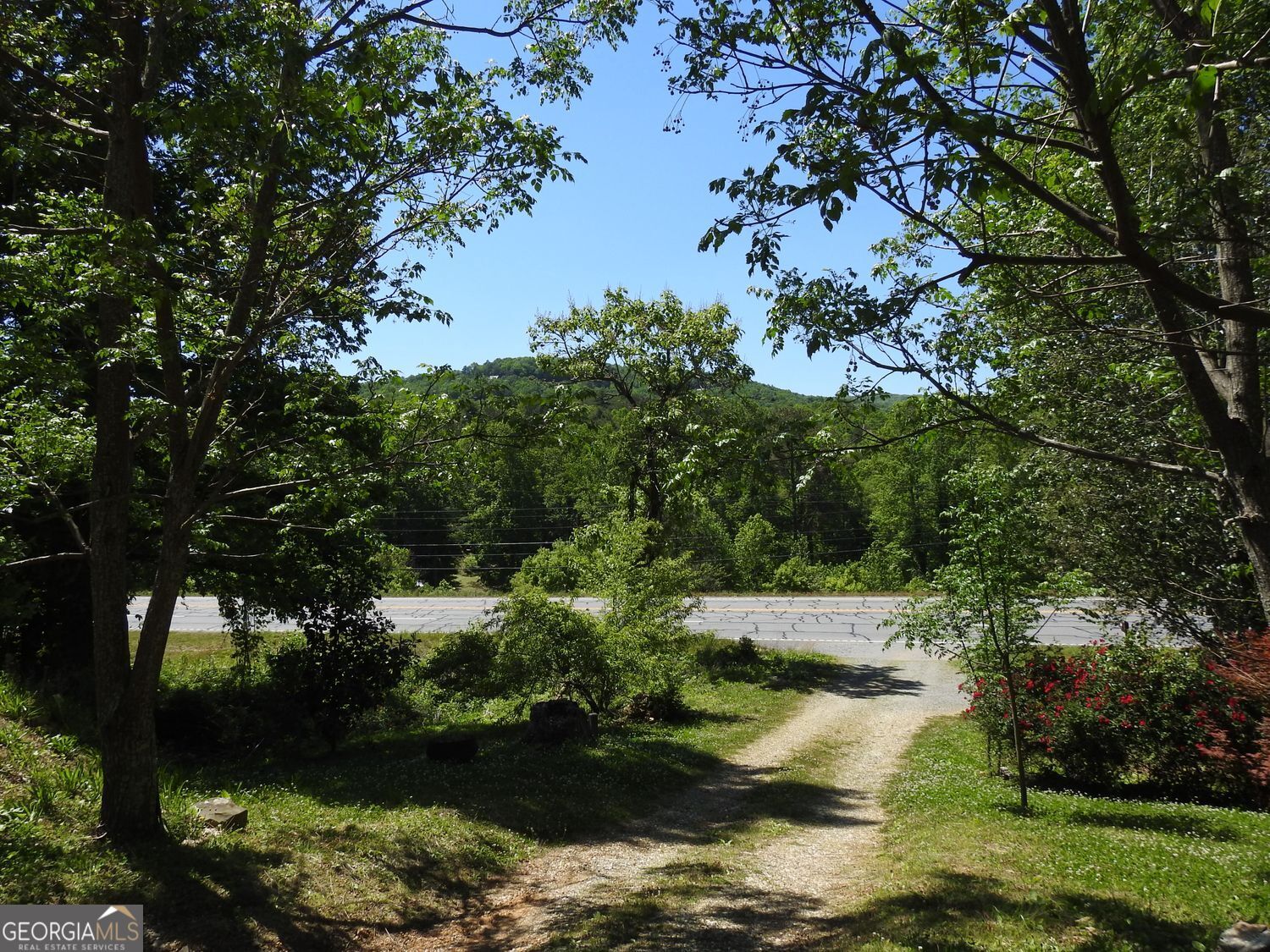 9503 Tails Creek Road Ellijay GA 30540