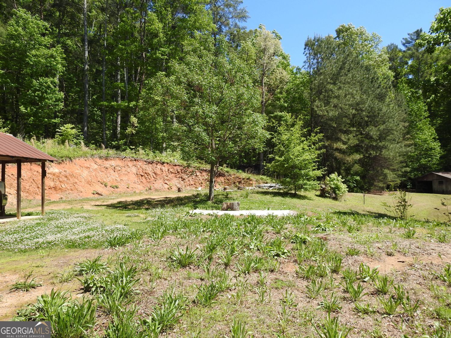 9503 Tails Creek Road Ellijay GA 30540