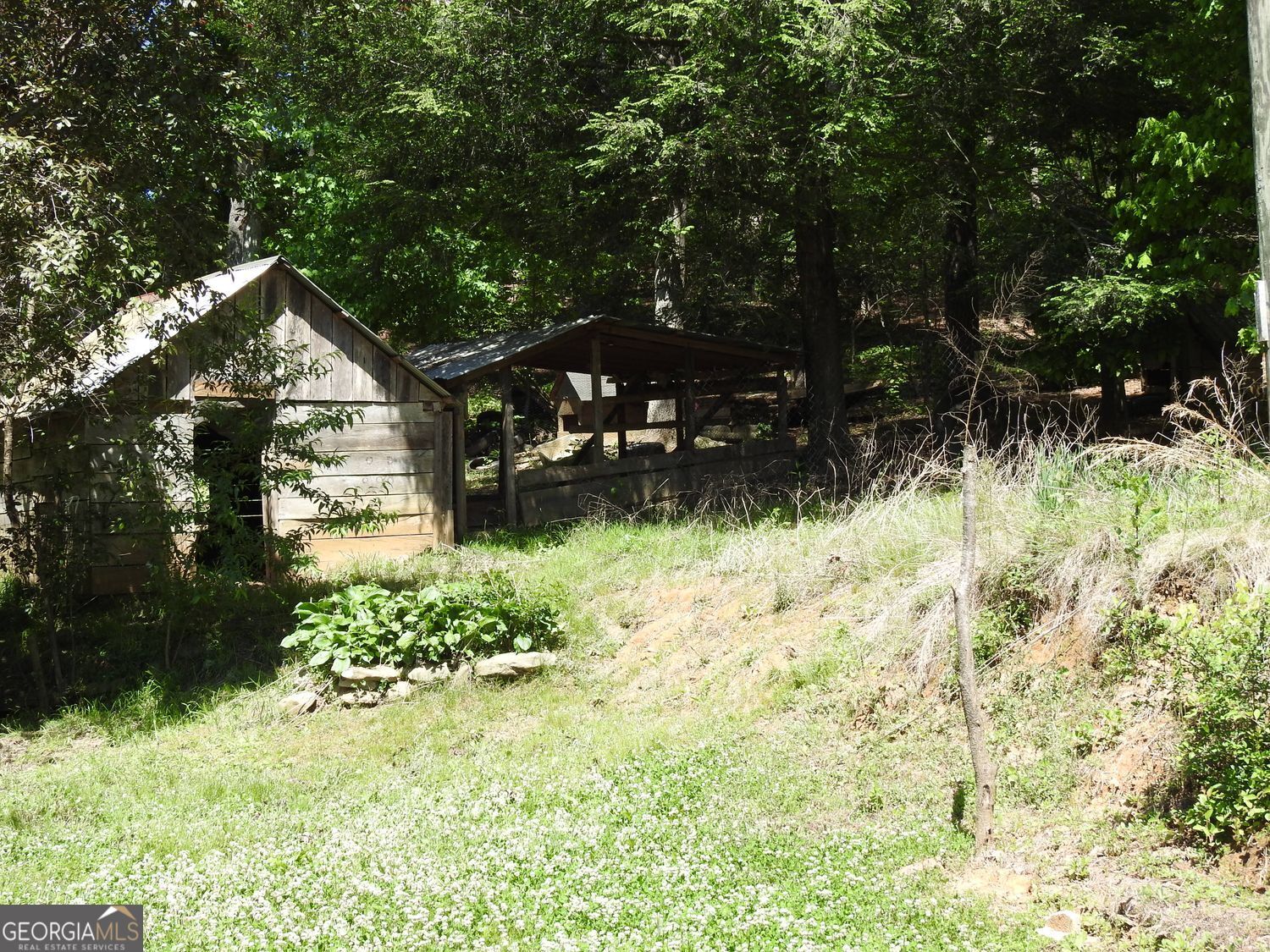 9503 Tails Creek Road Ellijay GA 30540