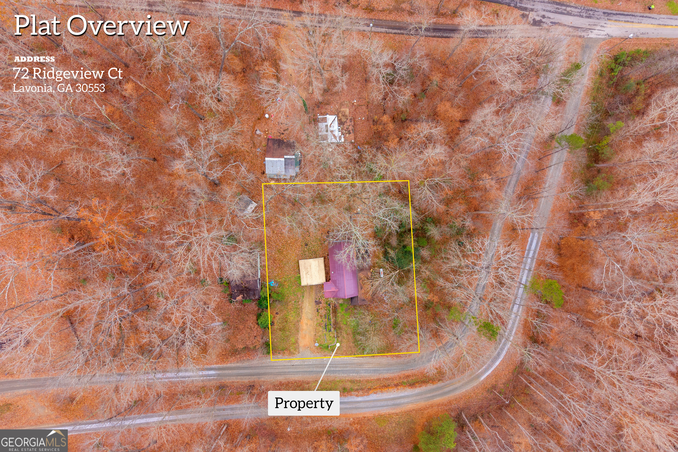 72 & 317 Ridgeview Lavonia GA 30553