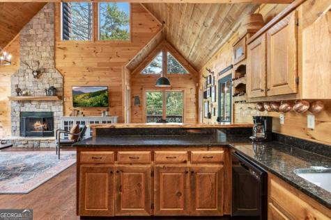 262 White Pine Acres Drive Blue Ridge GA 30513