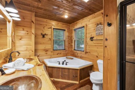 262 White Pine Acres Drive Blue Ridge GA 30513