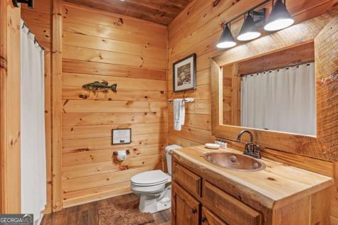 262 White Pine Acres Drive Blue Ridge GA 30513