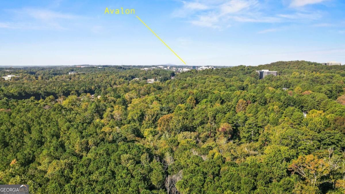 1205 Whitestone Ridge Alpharetta GA 30005